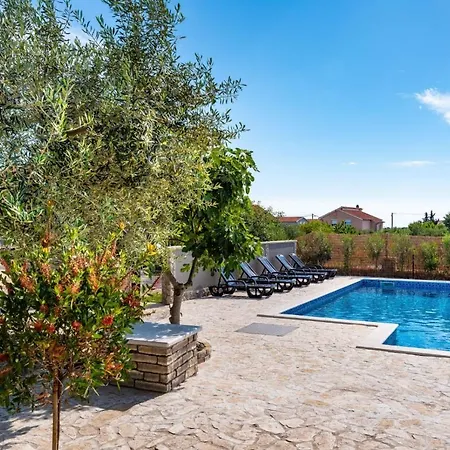 فيلة Eagle بنكوفاتش