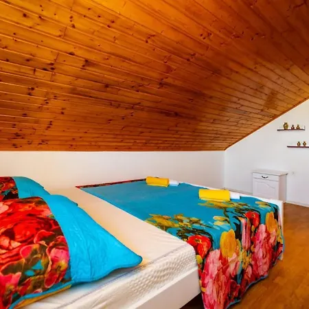 فيلة Eagle بنكوفاتش