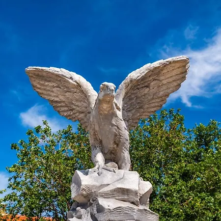 Eagle * بنكوفاتش