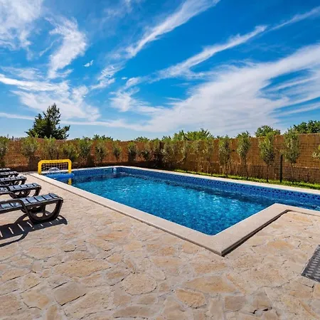 فيلة Eagle بنكوفاتش