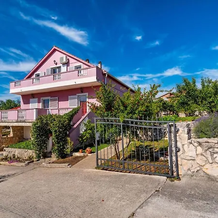 فيلة Eagle بنكوفاتش