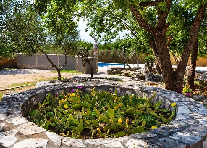 Eagle * 벤코바츠