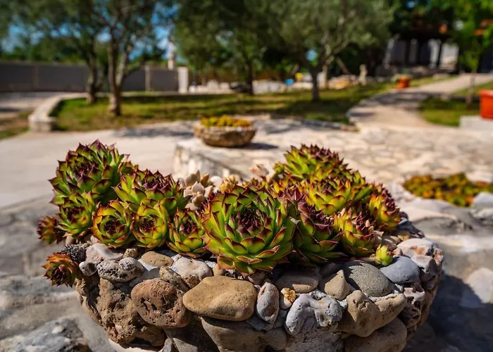 Eagle 빌라 벤코바츠