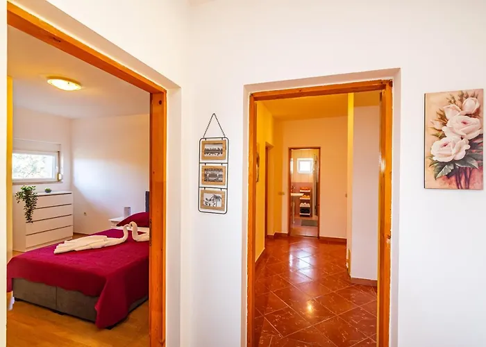 Eagle * 벤코바츠