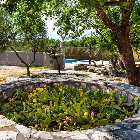 Eagle * 本科瓦茨