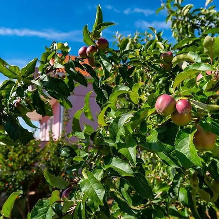 Villa Eagle Benkovac